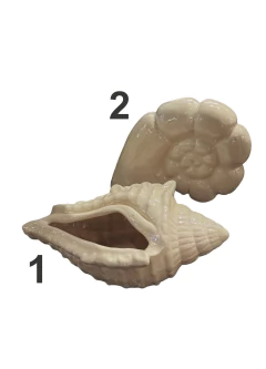 CARACOLES - comprar online