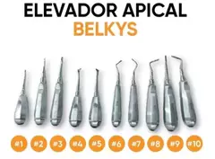 Elevador Apical Acero Inoxidable Recto BELKYS