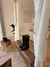 Botas Aspen - comprar online