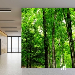 BOSQUE - Mural para Interior