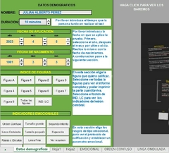 Corrector Test de Bender -Versión Excel Profesional PRO (2024)