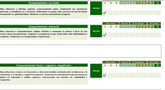 Corrector-Cuestionario: Evaluación Psicológica para la Portación de Armas