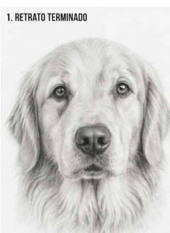 Retratos de mascotas realizados a lápiz a partir de una foto - comprar online
