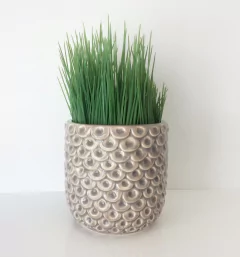 MACETA MINI PIÑA - tienda online