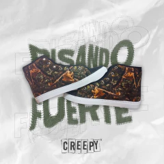 Zapas Personalizadas en internet