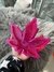 Cenicero Purple Dream - comprar online