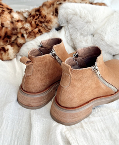 Borcego Daisy 2