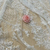 Tule Bordado - Off White - Sob Encomenda - A jarda na internet