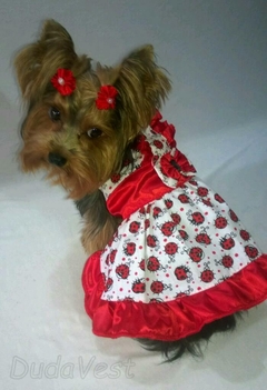Roupinhas pet