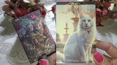 Tarot Felino la Curiosidad Transformo al Gato - comprar online
