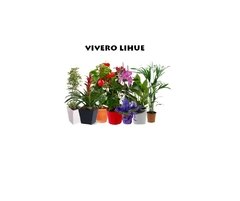 Fertifox Floracion Fertilizante - comprar online