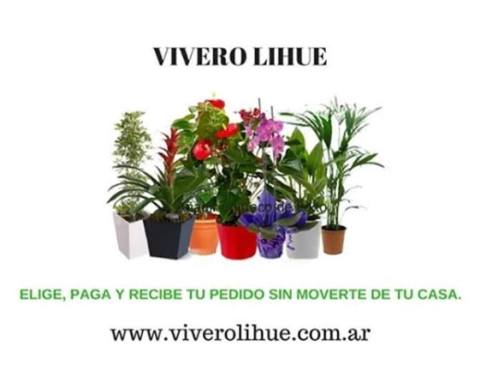 Vivero LIHUE