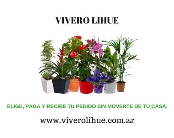 Vivero LIHUE