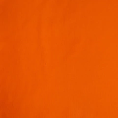 Sólido ... Kaki ( Persimmon)