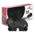 COMPONENTES AUDIOPIPE 6" CSE-65-CMP