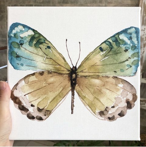 Cuadro Butterfly Verde Azulado (25 x 25 cmts)