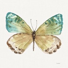 Butterfly 3