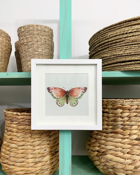 Cuadro Butterfly bicolor (25 x 25 cmts)