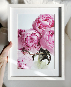 Cuadro Peonias Rosas (30 x 40 cmts)