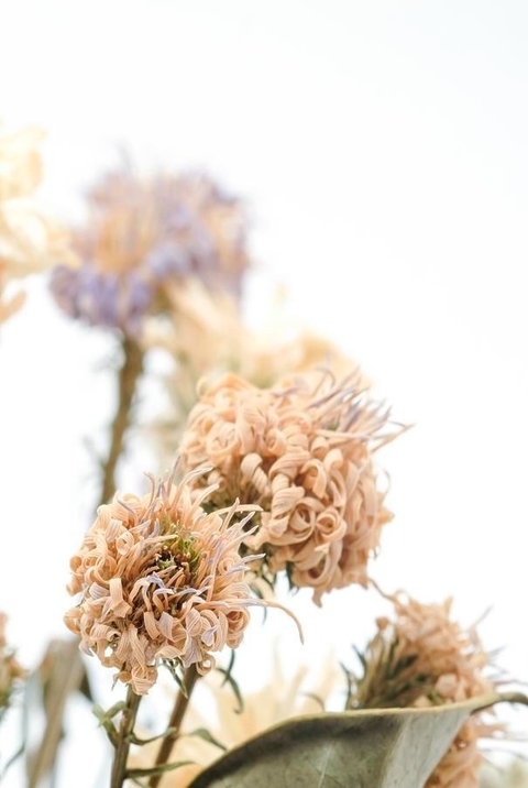 Lámina Flores Secas 6