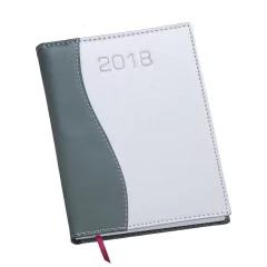 Agenda Diária Capa 'S' Metalizada na internet
