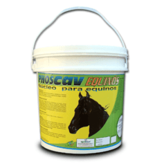 PHOSCAV EQUINOS COM VITAMINAS E AMINOACIDOS PRONTO PARA MISTURAR NA RAÇAO