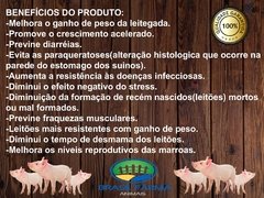 SUICAV – É um núcleo mineral, vitamínico, aminoácido, para mistura, destinado aos suínos, de todas as idades. - BRASIL FARMA ANIMAIS