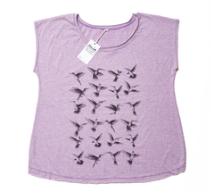 Colibri