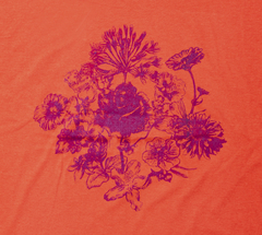 Rosas - comprar online