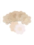 Nipple Pad Pétalo - tienda online