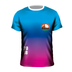 REMERA EGRESADOS ART. 2021