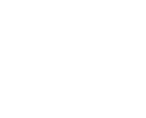 AOEXTREMO
