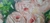 Quadro com moldura vintage floral - comprar online