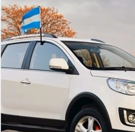 Carflags
