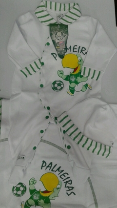 Saida maternidade Palmeiras
