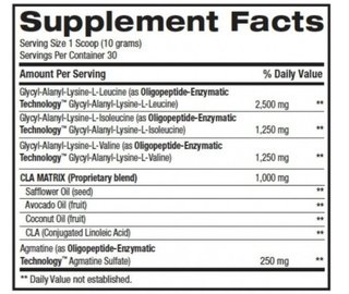 Best Glutamine (400gr) - BPI - comprar online