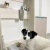 CAMA REBATIBLE PARA MASCOTA CON COMEDERO Art 6000 - comprar online