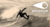 Banner de gear4fun