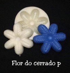 Flor do cerrado p