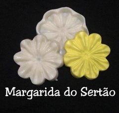 Margarida do sertão