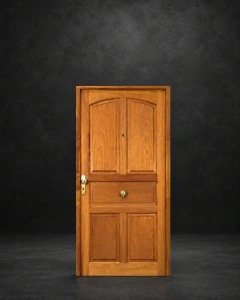 Puerta de Entrada de Madera Modelo 14
