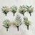 Boutonniers