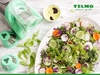 Yelmo - Rallador eléctrico - Tecno cocina