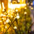 Luz solar luciernaga 8 leds - tienda online