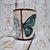 Taza bombe mariposas en internet