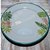 Plato botanico