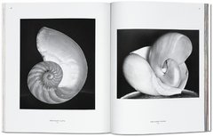 Edward Weston - Cosset Galeria