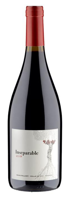INSEPARABLE MALBEC 2021 - comprar online