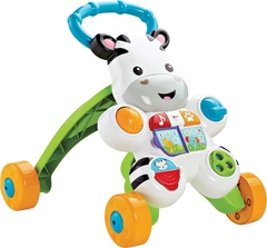 Apoiador Musical C/ Atividades Zebrinha Dlh48 - Fisher-Price