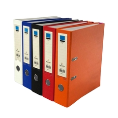 BIBLIORATO OFICIO X 10 UNIDADES NEWOFFICE COLOR